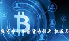 解读熊市中的加密货币行业：机遇与挑